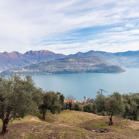 Residenza Coccinelle Vista Lago D'Iseo Tavernola Bergamasca Eksteriør bilde