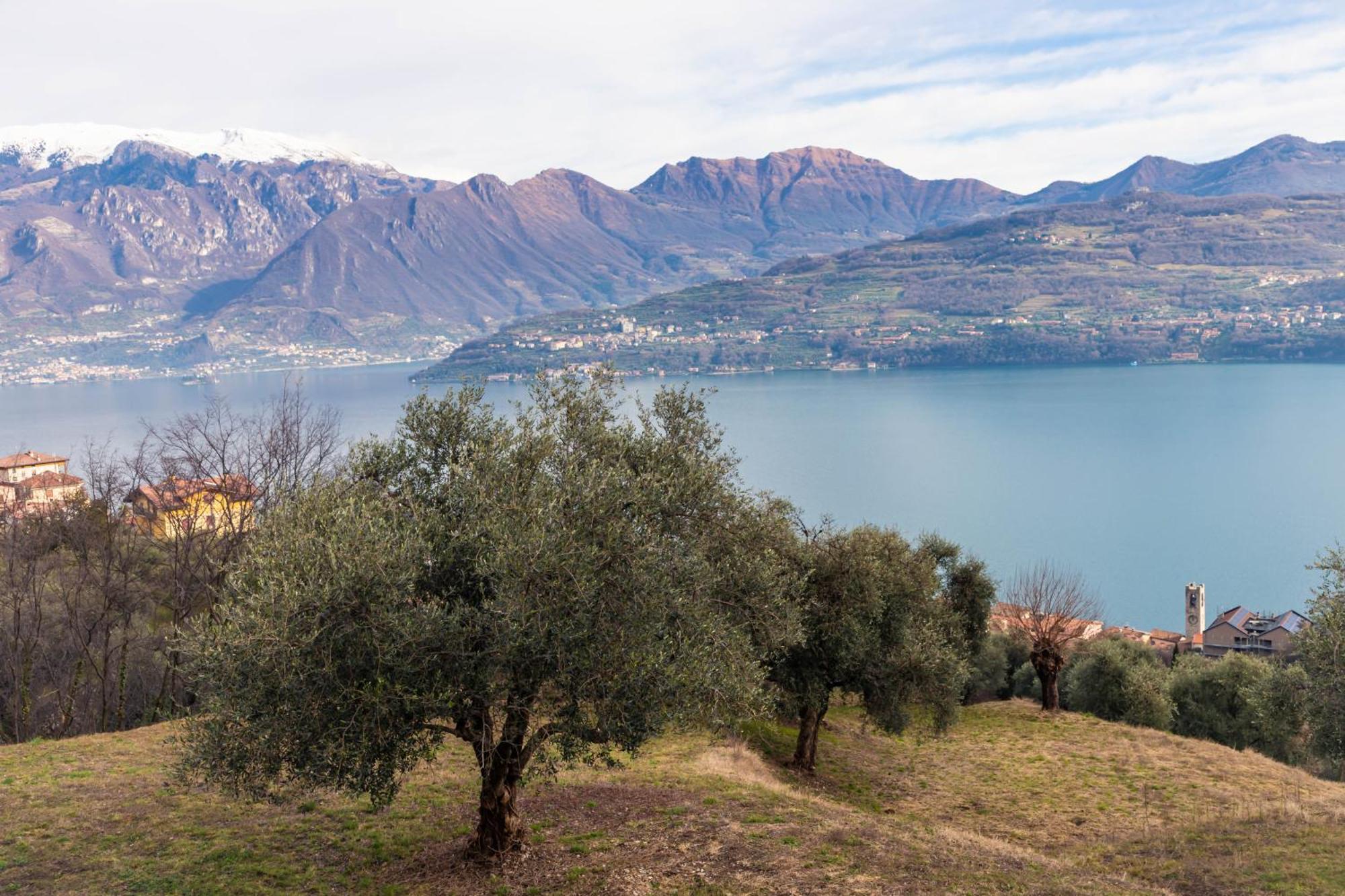 Residenza Coccinelle Vista Lago D'Iseo Tavernola Bergamasca Eksteriør bilde